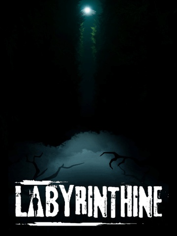 Labyrinthine icon