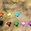 1010101110-shrooms-1.4.0 icon