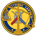 AinaVT-LockPickingLawyer icon