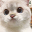 AlessandroDogeee-90_Boombox_Songs_fix-1.0.8 icon