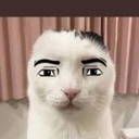 AlphaFuwa-AlphaFuwaModPack icon