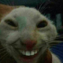 Alya-Meow icon