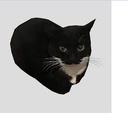 ApfelApfel-Apples_Modpack icon