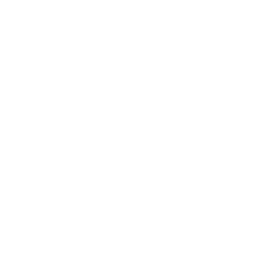 ApolloIsHere-Zoro icon