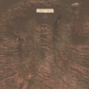Autumnis-355_Victory-1.0.0 icon