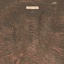 Autumnis-355_Victory-1.2.0 icon