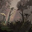 Awenn-IM_BRID-1.2.2 icon