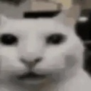 BESTTEAMMEVER-MODPACK icon