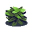 BUSHSQUAD-BushMod-2.1.1 icon