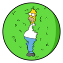 BUSHSQUAD-BushPictures-1.0.2 icon