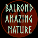 Balrond-balrond_amazing_nature-0.0.2 icon