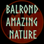 Balrond-balrond_amazing_nature-0.7.4 icon