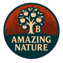 Balrond-balrond_amazing_nature-1.2.2 icon