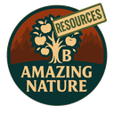 Balrond-balrond_amazing_nature_resource-0.1.2 icon
