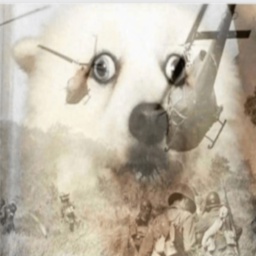 Bear-PAIN icon