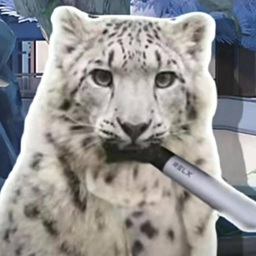 BiliBiliMOXL-SnowLeopardSoundsForFeioparCreature icon