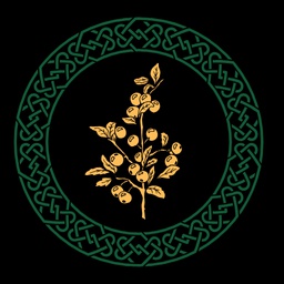 BlackthornClan-RealmsofFirCruthenModpack icon