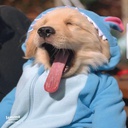Blud-Friends icon
