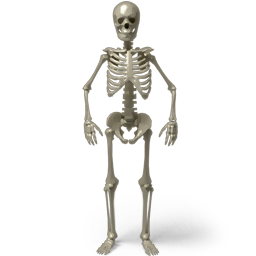 BoneZone_Discord-BoneZone icon