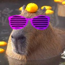 Bouncing-CapybaraDance-1.0.2 icon