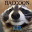 Brew-RaccoonLib-1.0.7 icon