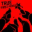 Brynzananas-True_First_Person-1.0.2 icon