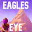 Bub-EaglesEye-2.0.0 icon
