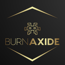 Burnaxide-Burnaxide_Modpack_2-1.0.0 icon