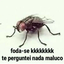 CAMAROES-camaronersultimato-1.0.0 icon