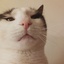 CakeGamez-SillyVideos-1.0.5 icon
