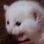 CaptainAmpersand-ScreamingShipHorn-1.0.0 icon