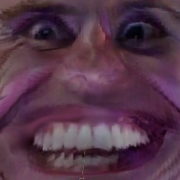 CapyCat-SoloCosmetics icon