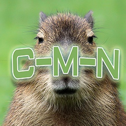 Capybara-LethalCapyBara icon