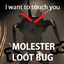 Caseuhdeeyuh-MolesterLootBug-1.0.2 icon