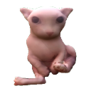 CatEmpire-EvenMoreCats-1.0.0 icon