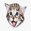 ChaosBeans-DeepMeow-1.1.0 icon