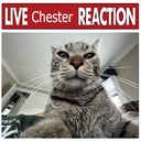 ChesterCord-Chester_ModPack icon