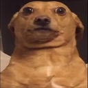 ChocoDuck-ChocoDuckModPack icon