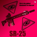 CiarenceW-SR25-2.0.0 icon