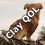 Claymeister-ClayQOL-0.2.3 icon