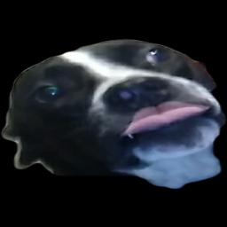 CloutScouts-Clout_Scouts icon