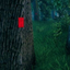 CodeWarrior-TrailBlazes-1.2.0 icon