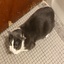 Columbus-BuyableKitchenKnife-1.1.0 icon