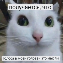 Coolyans-NewCooLyansSborich icon