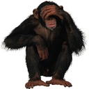 Coom_Foundation-Coom_Company icon
