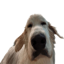 Creekano-Gas_Gas_Gas_Meltdown-1.0.2 icon