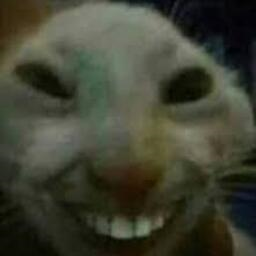 Cringe_Nation-Cringe_Nation icon