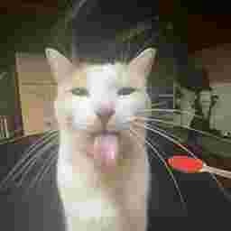 Cumbersome_fellows-Stinky_mods icon
