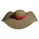 CunningFox146-The_Projection-1.0.0 icon