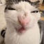 Cutesyvee1-Silly_Frie_Suit-1.0.0 icon